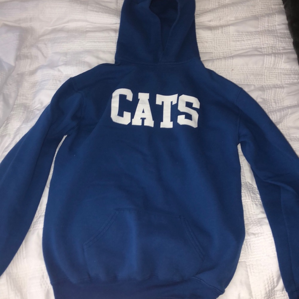 kentucky cats hoodie
